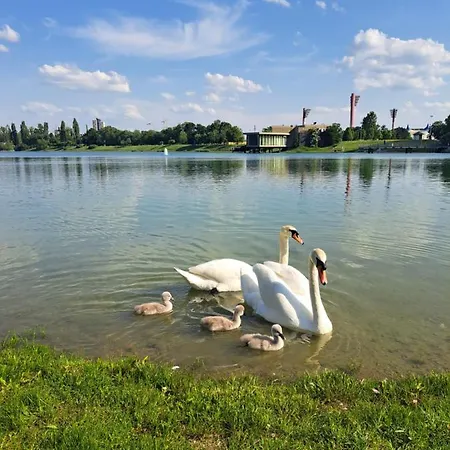 In The Lake Bratislava